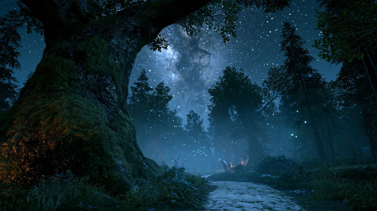 Ancient mossy tree and a pale stone path in a forest under the Milky Way