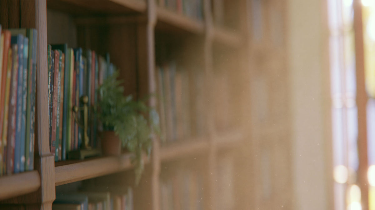 Sunlit wooden bookshelf with rows of colourful book spines and a small potted fern